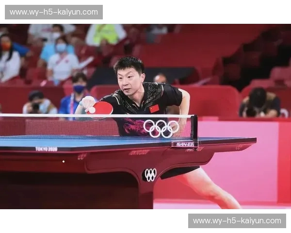 乒坛双雄：马龙与波尔的巅峰对决，一场超越胜负的传奇